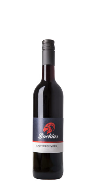 <br>2503<br>2025er Spätburgunder Qualitätswein Rheinhessen trocken 0,75l<br>